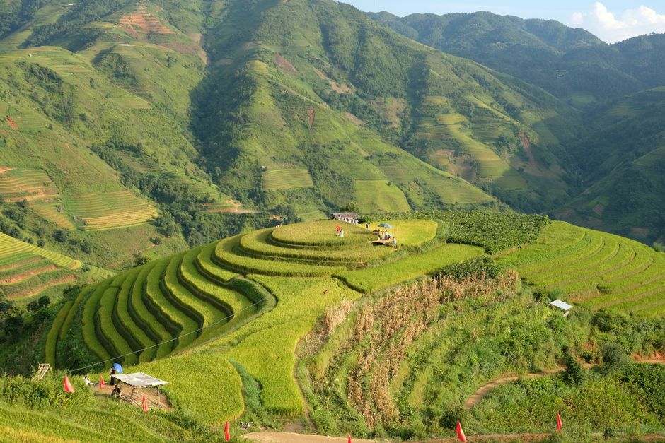 Mù Cang Chải vào mùa lúa chín đẹp như thế nào? - phần 1