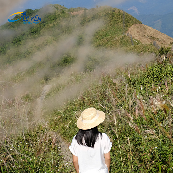 văn hóa